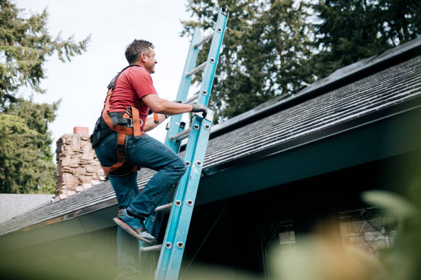 Best Roof Coating and Sealing  in Franklin, MI